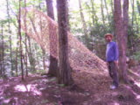 100_1579.jpg